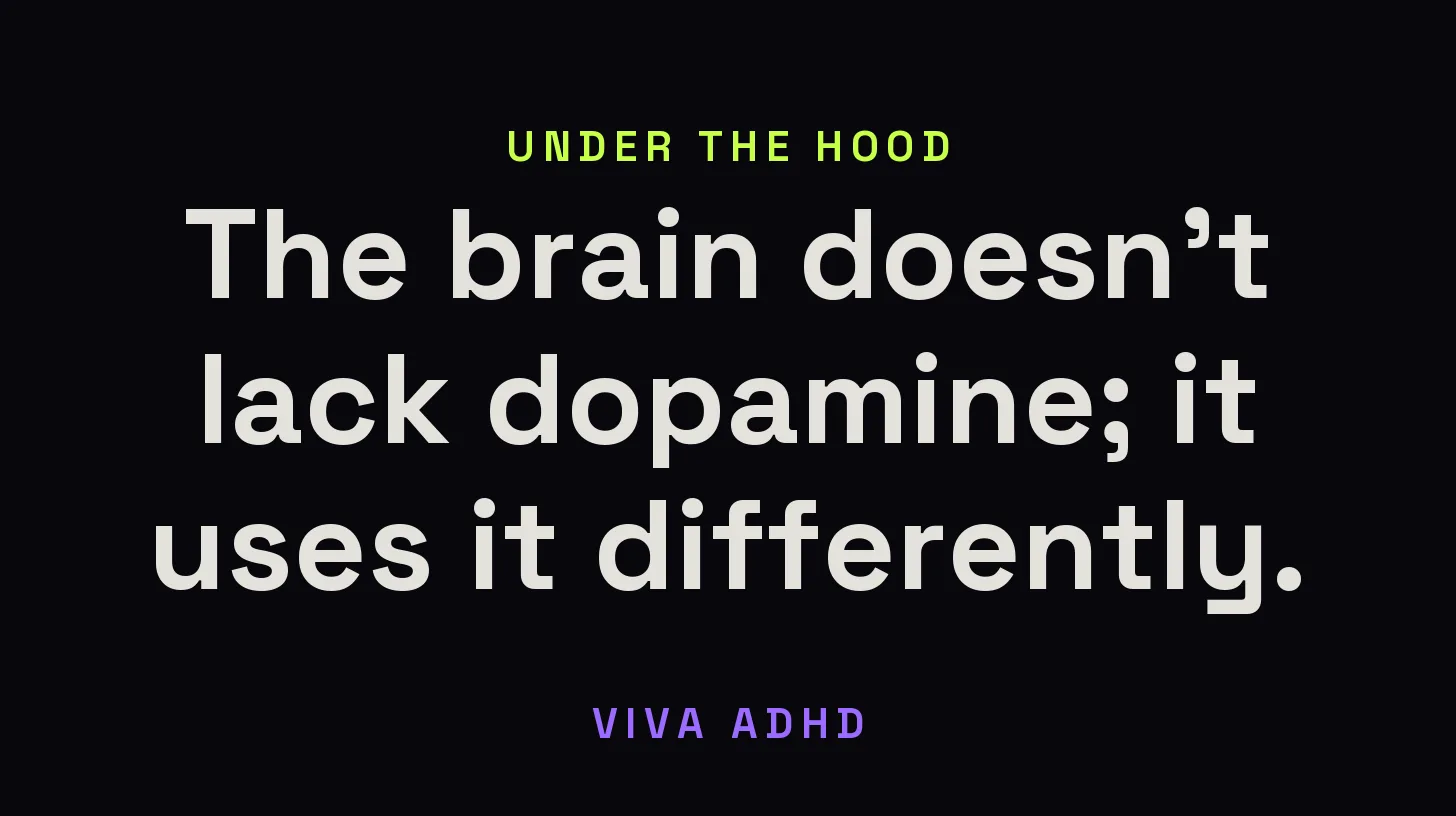 Viva ADHD. The brain doesn’t lack dopamine; it uses it differently.